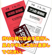 �������E���ތ����{